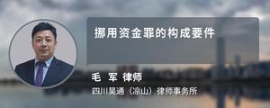 挪用資金罪的構(gòu)成要件