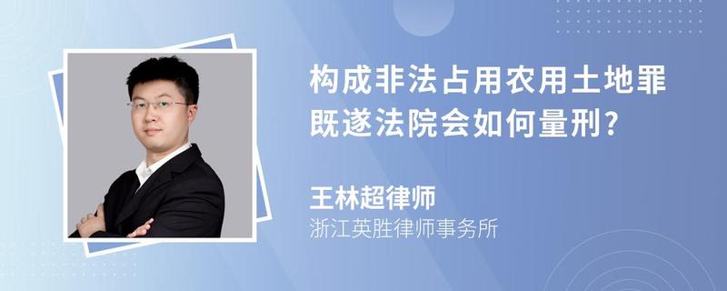 構成非法占用農用土地罪既遂法院會如何量刑?