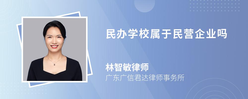 民办学校属于民营企业吗