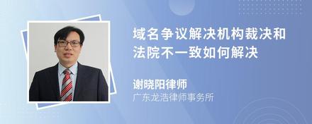 域名爭議解決機構(gòu)裁決和法院不一致如何解決