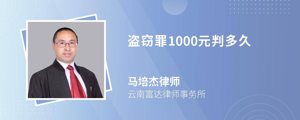 盜竊罪1000元判多久