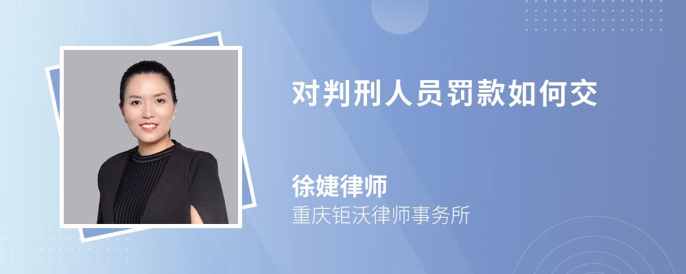 對(duì)判刑人員罰款如何交