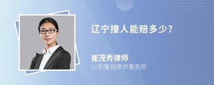 遼寧撞人能賠多少?