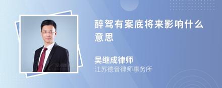 醉駕有案底將來影響什么意思