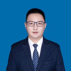 北京律师-王正军律师