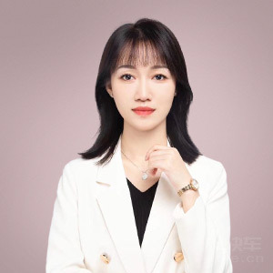 王珊·广东辉辰律师事务所