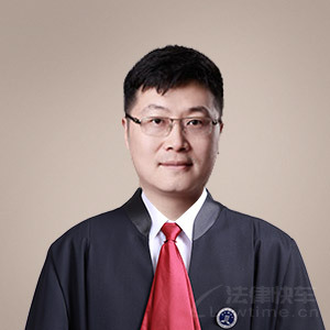 岳阳律师-臻宇团队律师