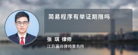 简易程序有举证期限吗