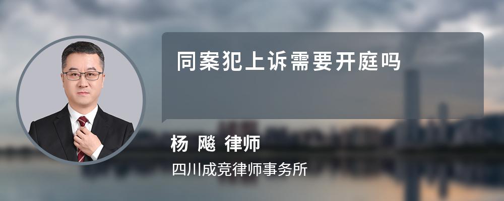 同案犯上诉需要开庭吗