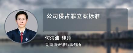 公司侵占罪立案标准