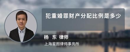 犯重婚罪财产分配比例是多少