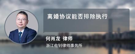 离婚协议能否排除执行