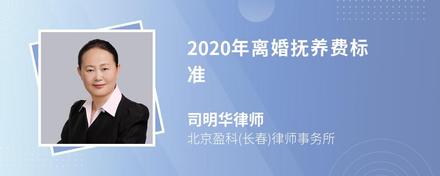 2020年离婚抚养费标准