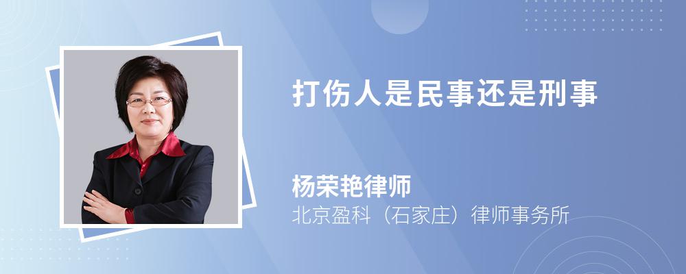 打伤人是民事还是刑事