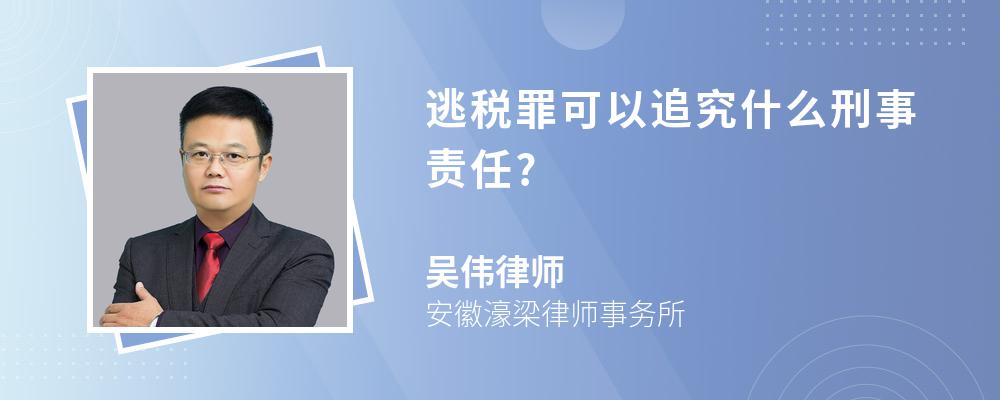 逃税罪可以追究什么刑事责任?