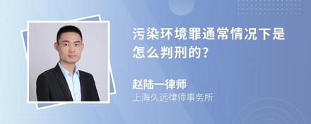 污染环境罪通常情况下是怎么判刑的?