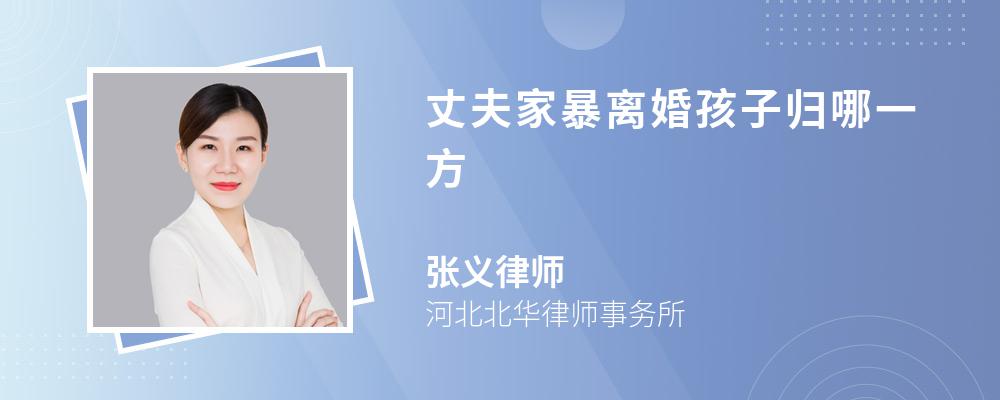 丈夫家暴离婚孩子归哪一方