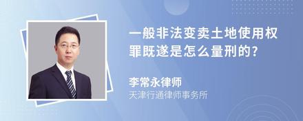 一般非法变卖土地使用权罪既遂是怎么量刑的?