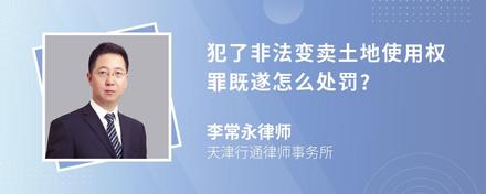 犯了非法变卖土地使用权罪既遂怎么处罚?