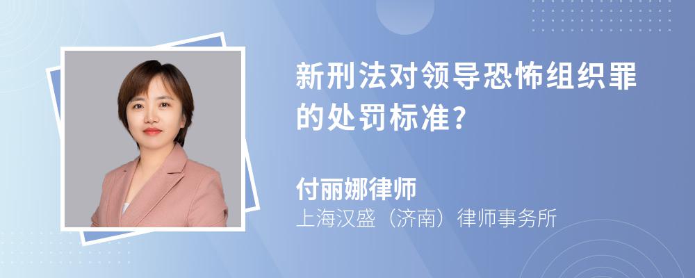 新刑法对领导恐怖组织罪的处罚标准?