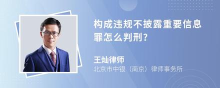 构成违规不披露重要信息罪怎么判刑?