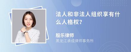 法人和非法人组织享有什么人格权？