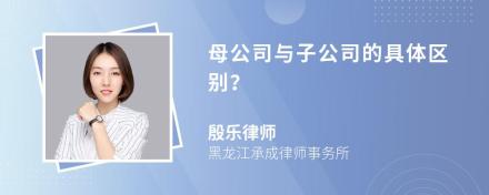 母公司与子公司的具体区别？