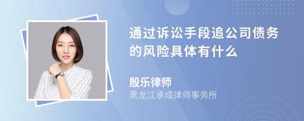 通过诉讼手段追公司债务的风险具体有什么