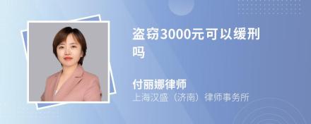 盗窃3000元可以缓刑吗