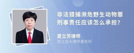 非法猎捕濒危野生动物罪刑事责任应该怎么承担?