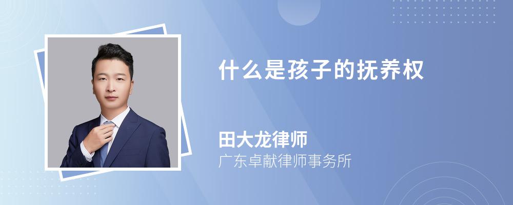 什么是孩子的抚养权