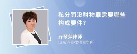 私分罚没财物罪需要哪些构成要件?