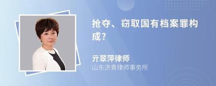 抢夺、窃取国有档案罪构成?