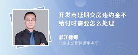 开发商延期交房违约金不给付时需要怎么处理