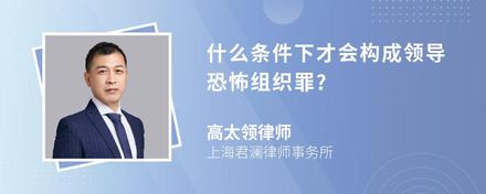 什么条件下才会构成领导恐怖组织罪?