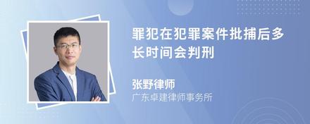 罪犯在犯罪案件批捕后多长时间会判刑