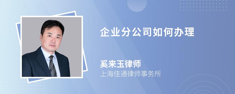 企业分公司如何办理