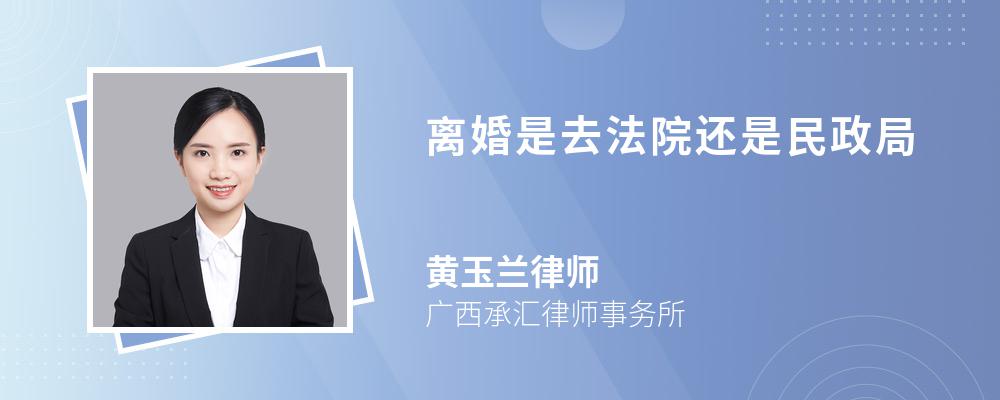 离婚是去法院还是民政局