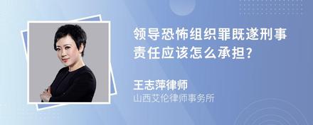 领导恐怖组织罪既遂刑事责任应该怎么承担?