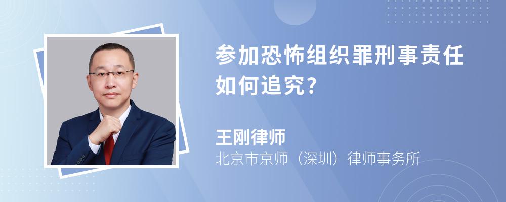 参加恐怖组织罪刑事责任如何追究?