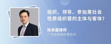 组织、领导、参加黑社会性质组织罪的主体与客体?