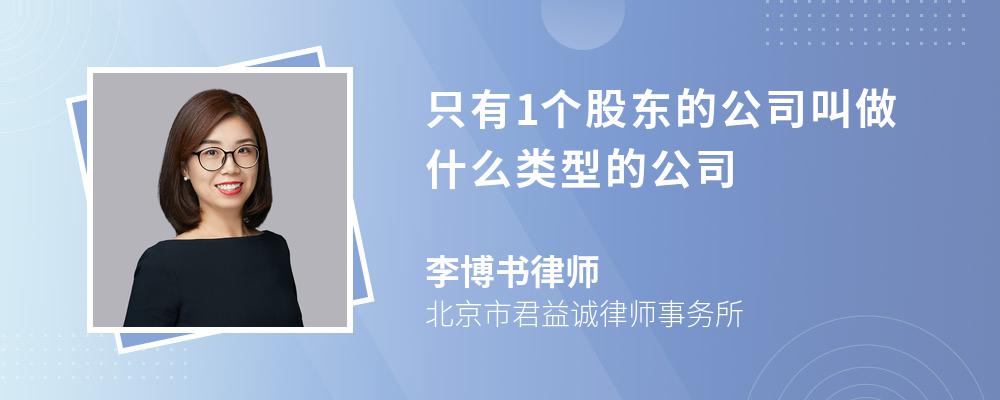 只有1个股东的公司叫做什么类型的公司