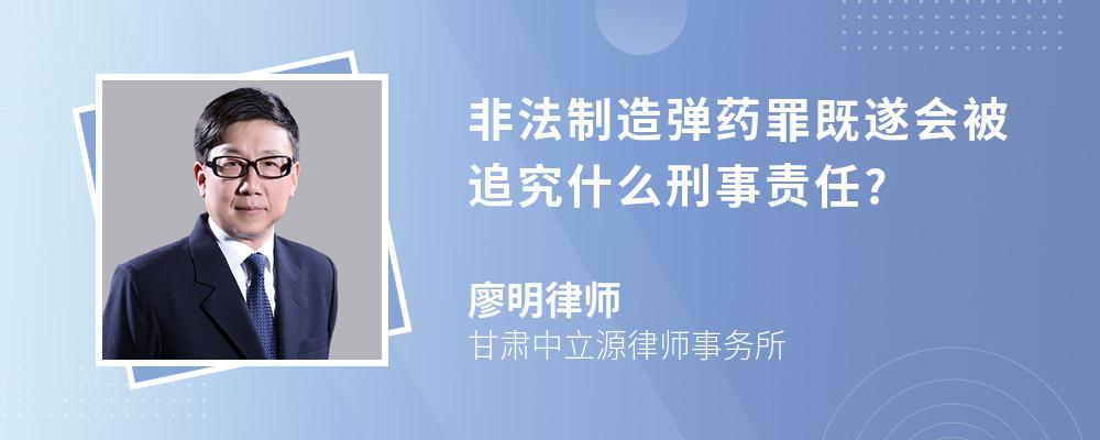 非法制造弹药罪既遂会被追究什么刑事责任?