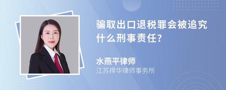 骗取出口退税罪会被追究什么刑事责任?