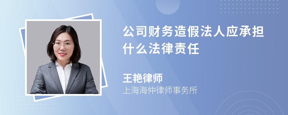 公司财务造假法人应承担什么法律责任