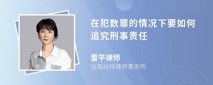 在犯数罪的情况下要如何追究刑事责任