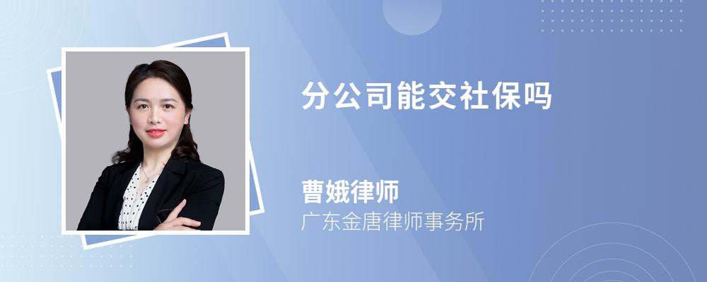 分公司能交社保吗