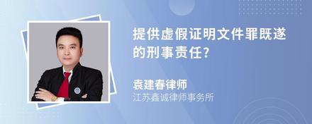 提供虚假证明文件罪既遂的刑事责任?