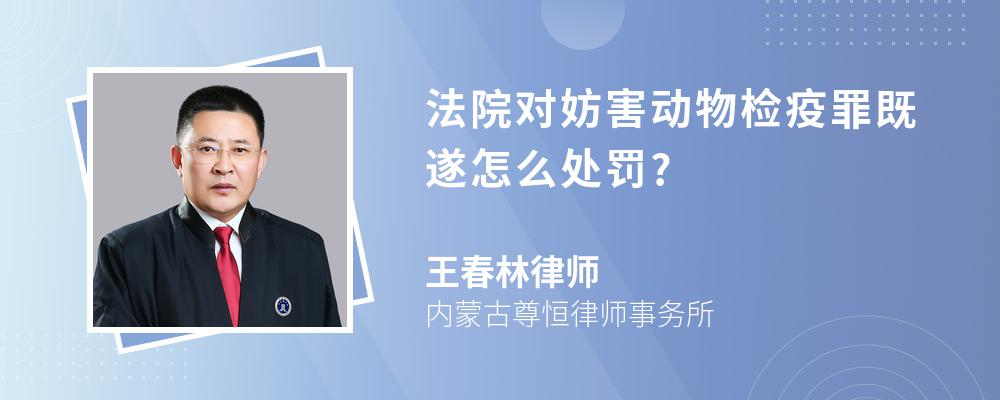 法院对妨害动物检疫罪既遂怎么处罚?