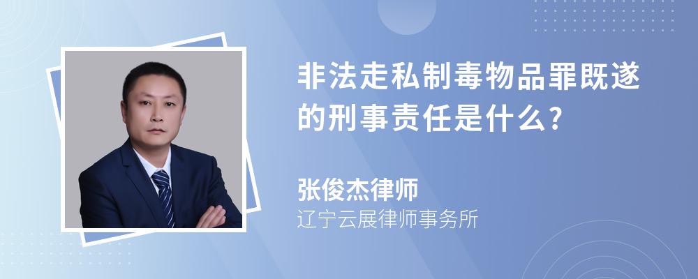 非法走私制毒物品罪既遂的刑事责任是什么?